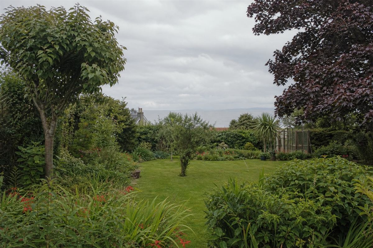 Shrub and tree structure in a suburban garden